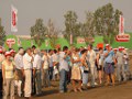 In Camp 2007