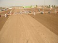 In Camp 2007